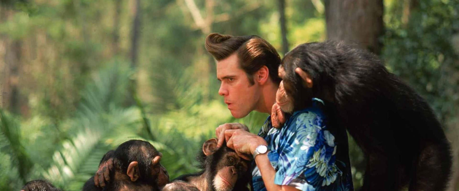 Ace Ventura: When Nature Calls backdrop