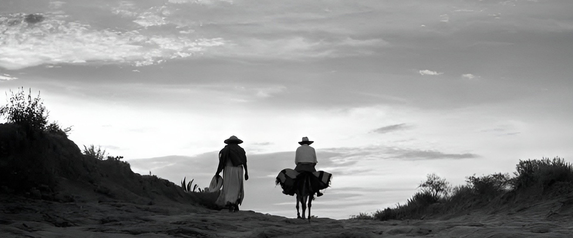 One Hundred Years with Juan Rulfo backdrop