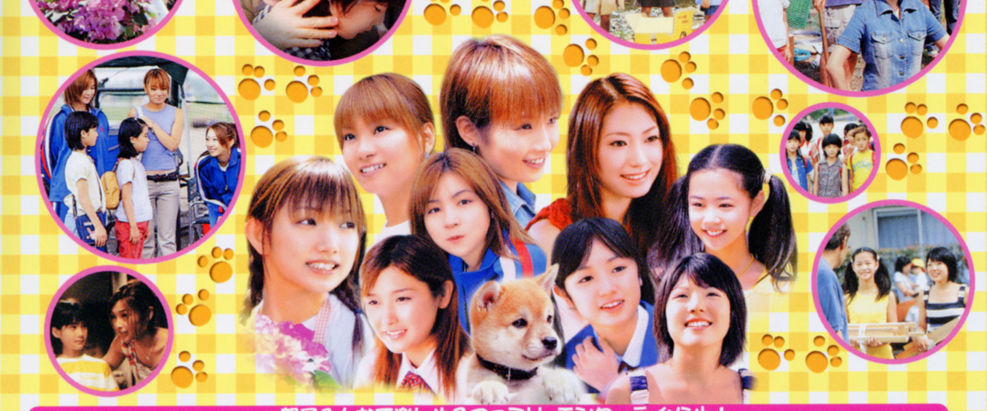 The Story of Dan the Puppy backdrop