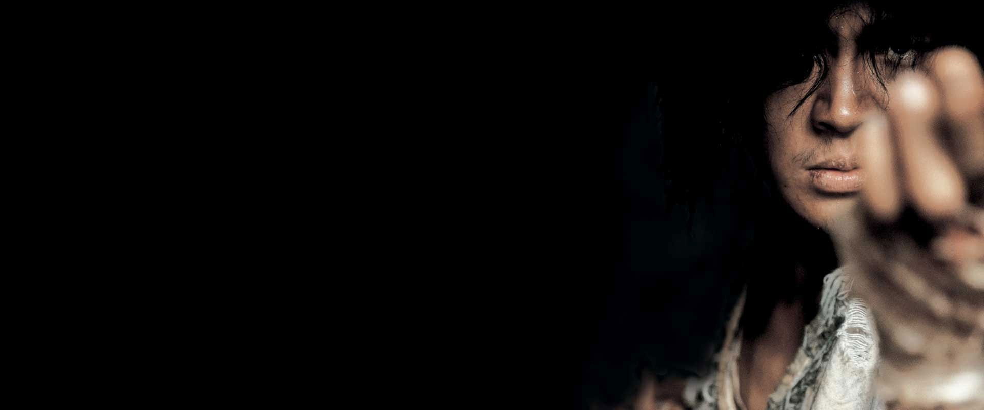 Fighter in the Wind backdrop