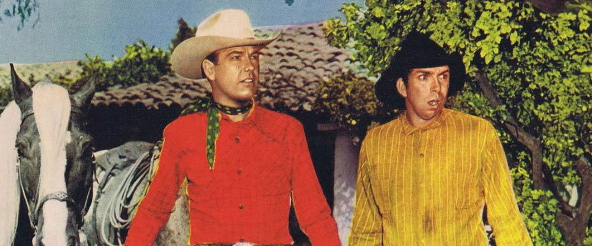 Phantom Stallion backdrop