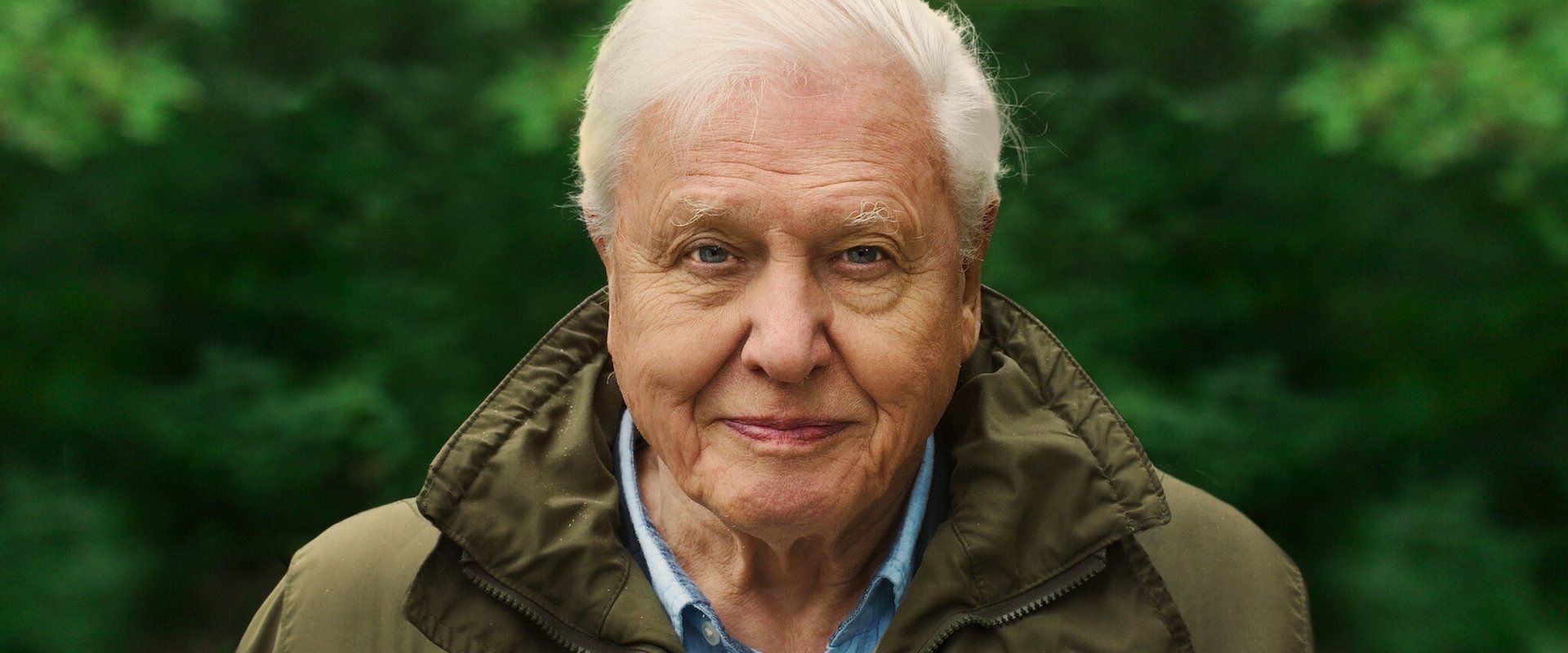 David Attenborough: A Life on Our Planet backdrop