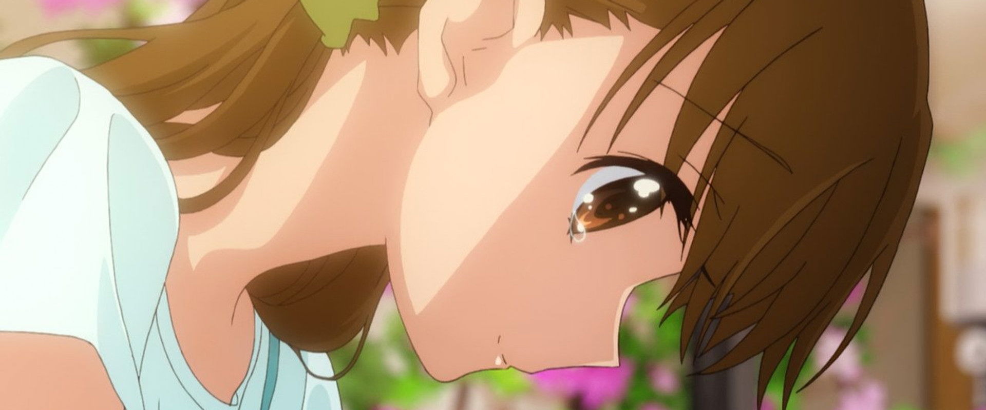 Tamayura: Graduation Photo Part 2 - Hibiki backdrop