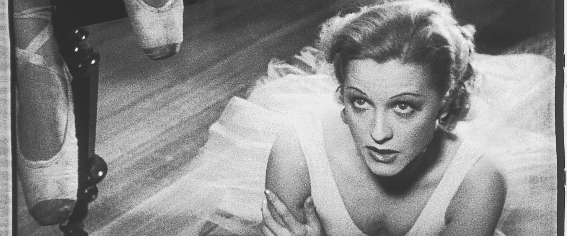 Silhouettes backdrop