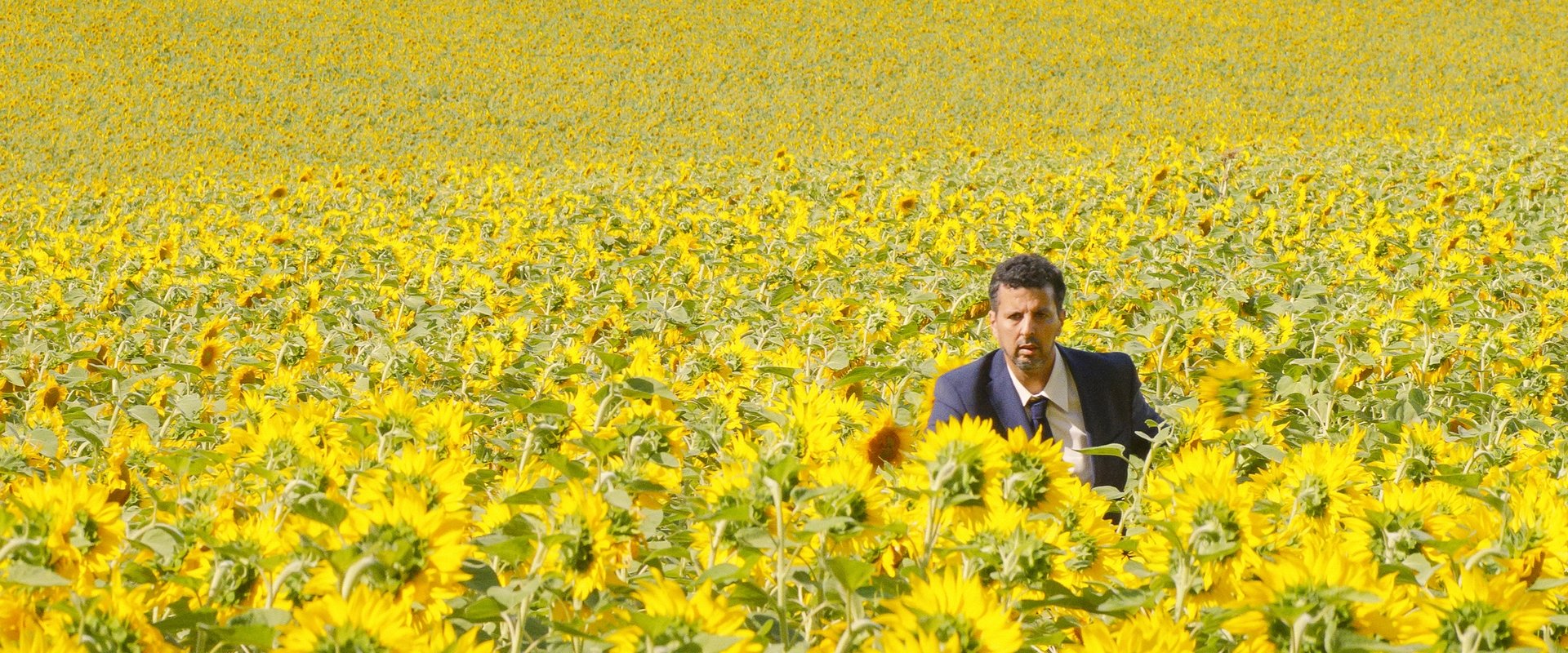 Animal Totem backdrop