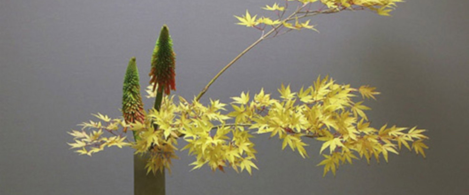 Ikebana backdrop