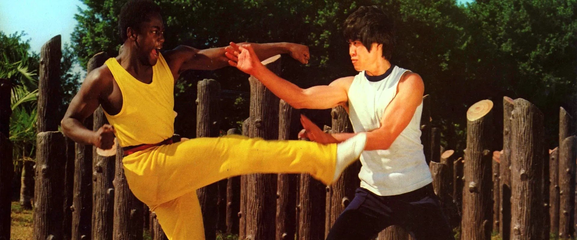 Kung Fu Executioner backdrop