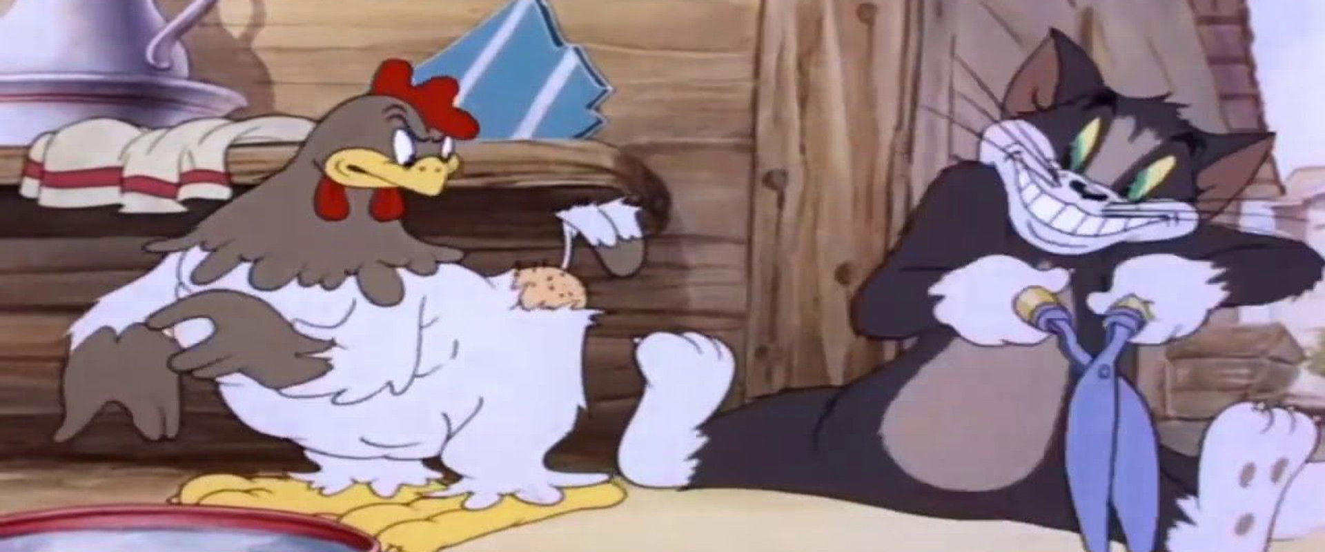 Fine Feathered Friend backdrop