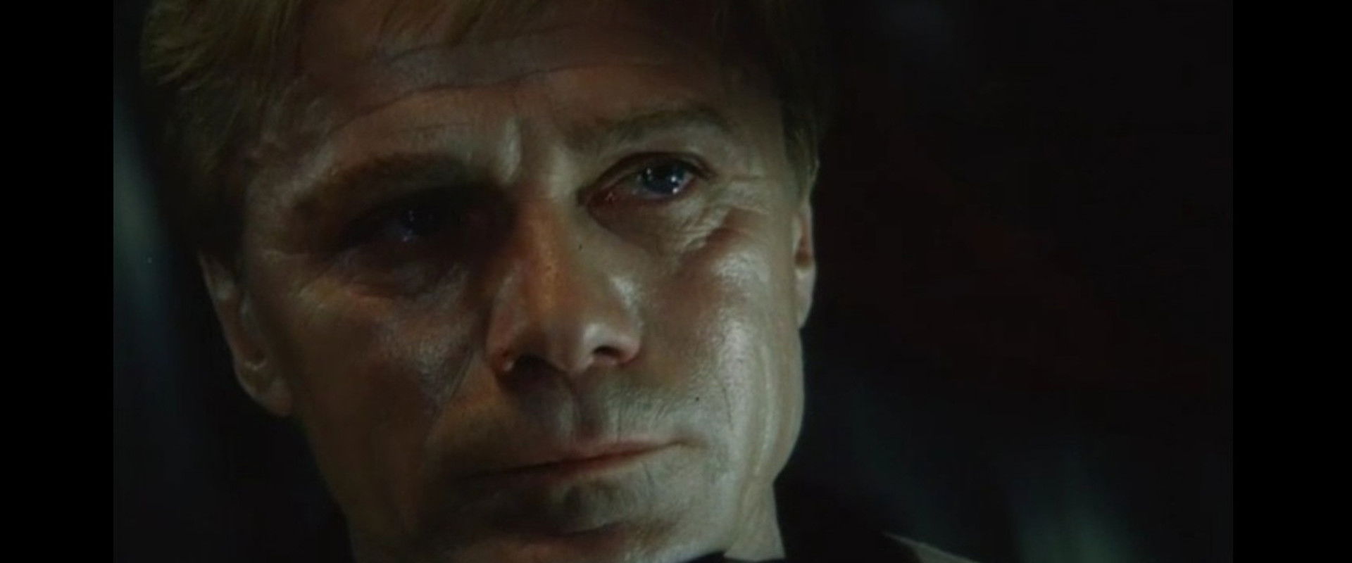 Cry of a Dolphin backdrop