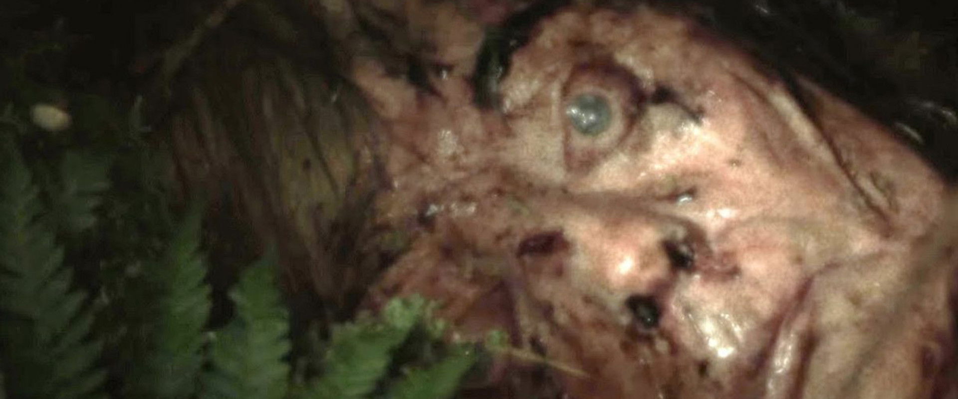 Cold Ground backdrop