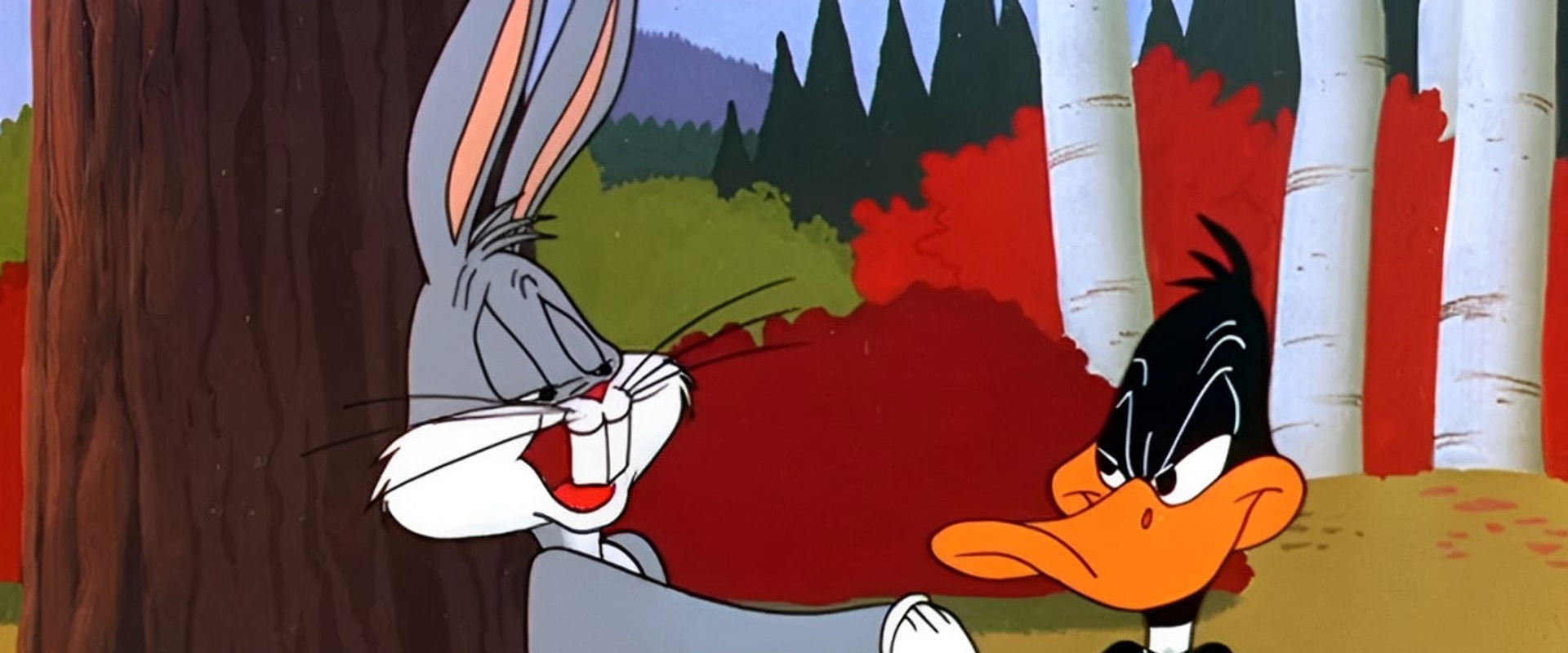 Rabbit Fire backdrop