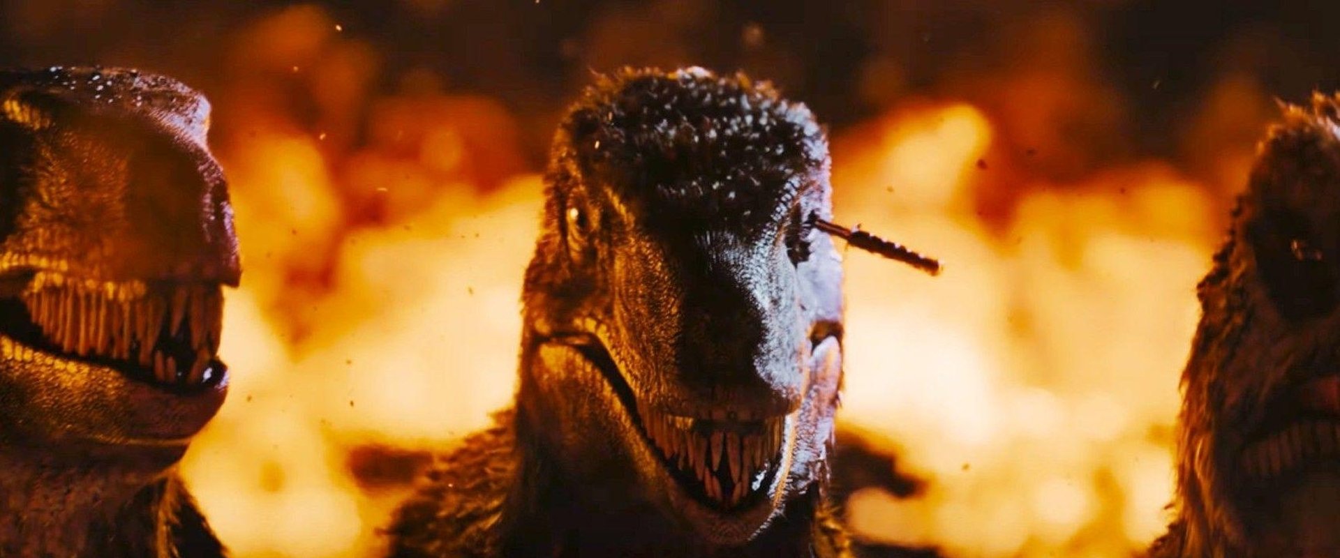 Primitive War