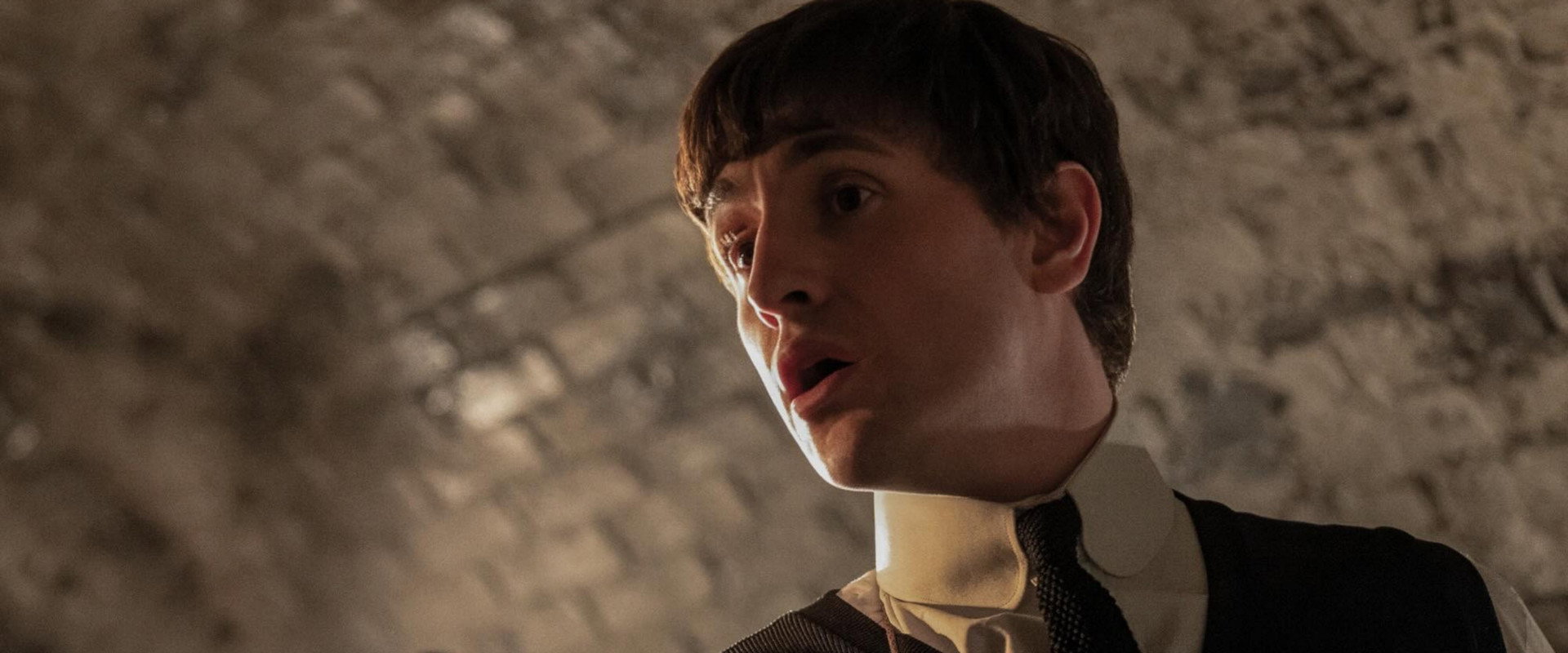 The Beatles: Paul backdrop