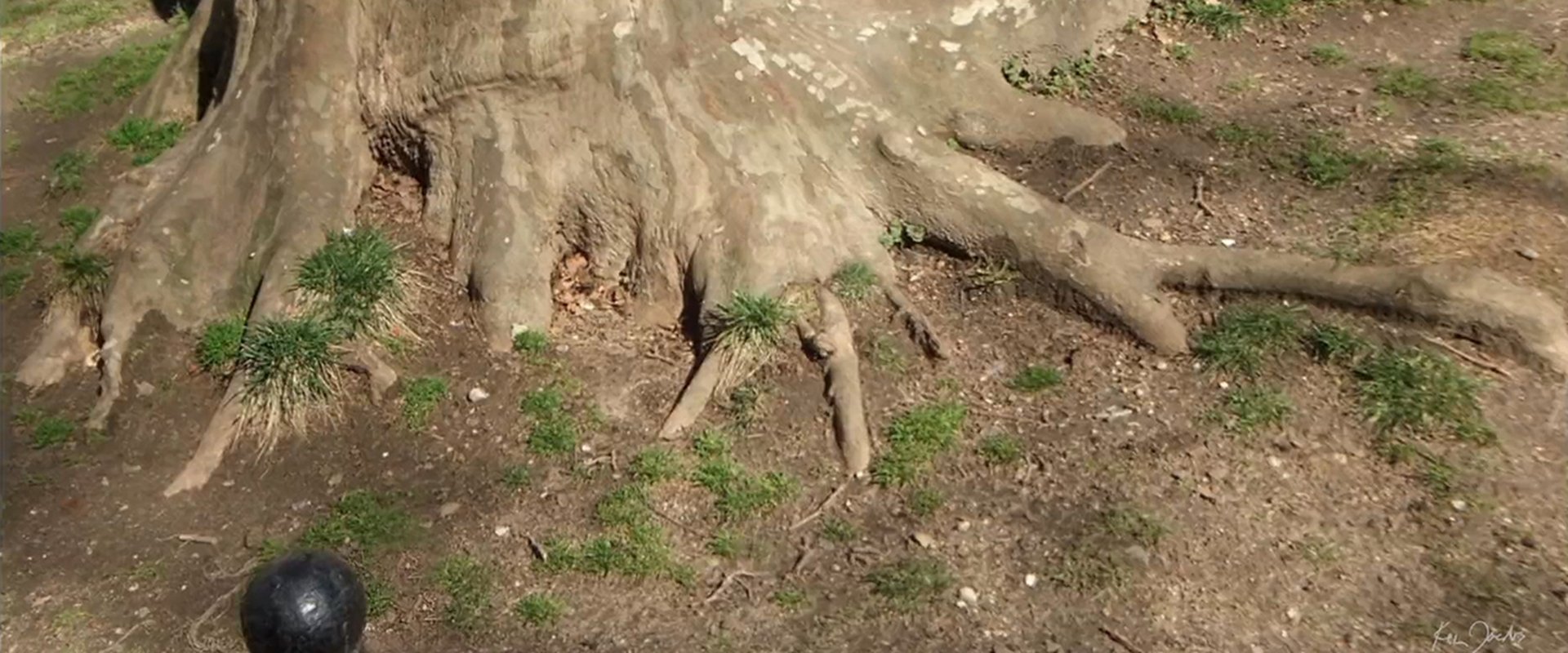 Roots of Manhattan