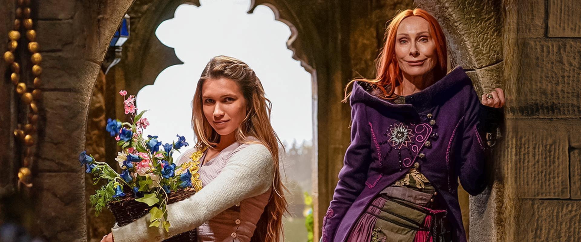 Rapunzel and the Return of the Falcons backdrop