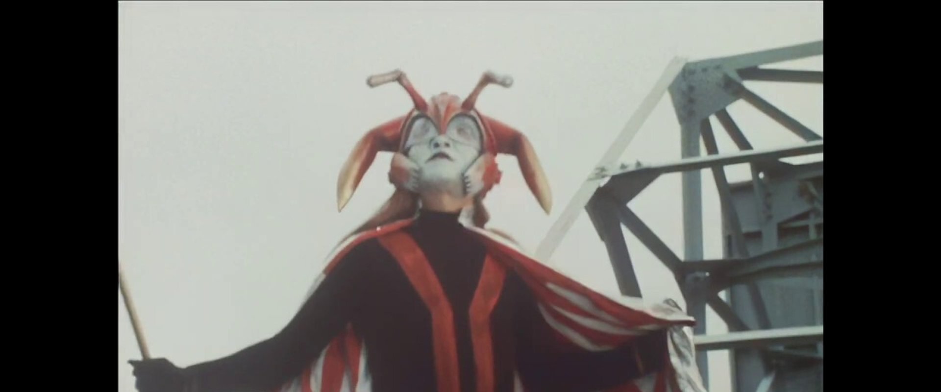The Kagestar