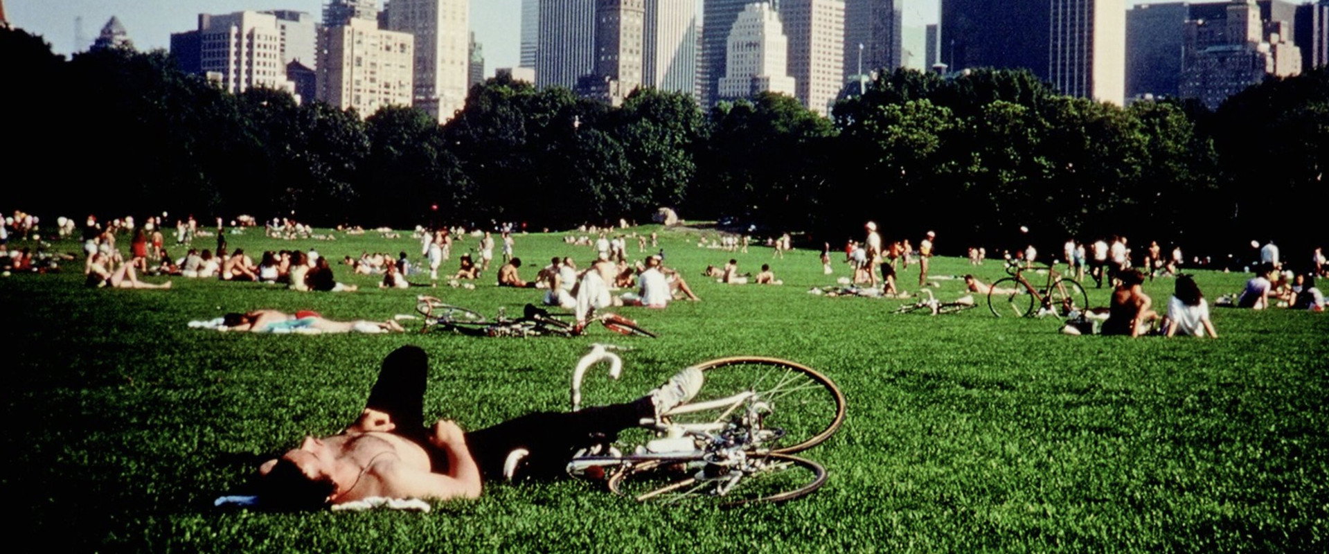 Central Park backdrop