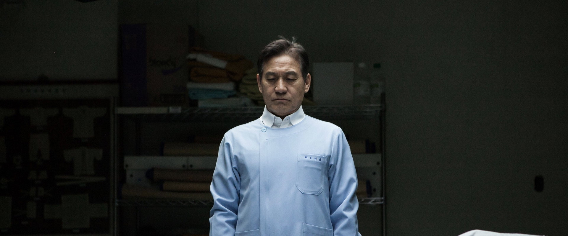 Paper Flower backdrop