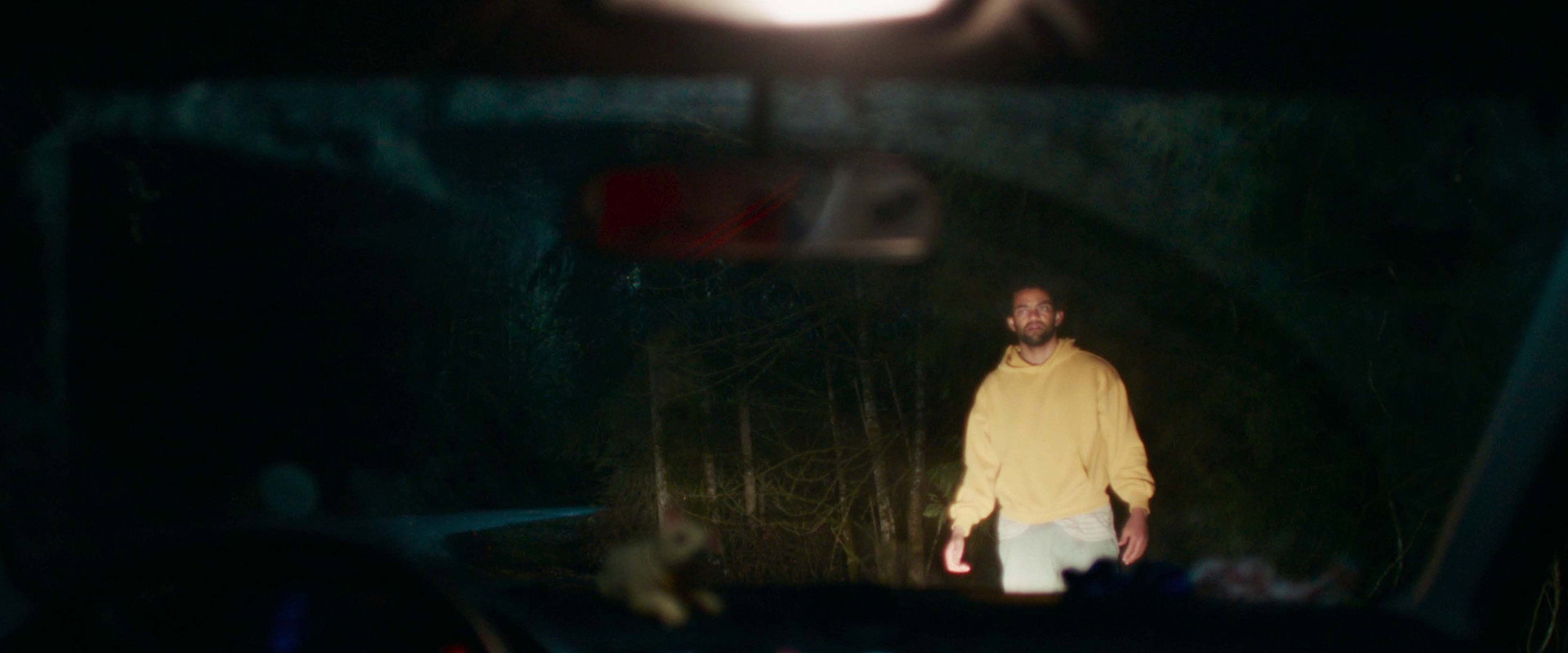 Passenger backdrop