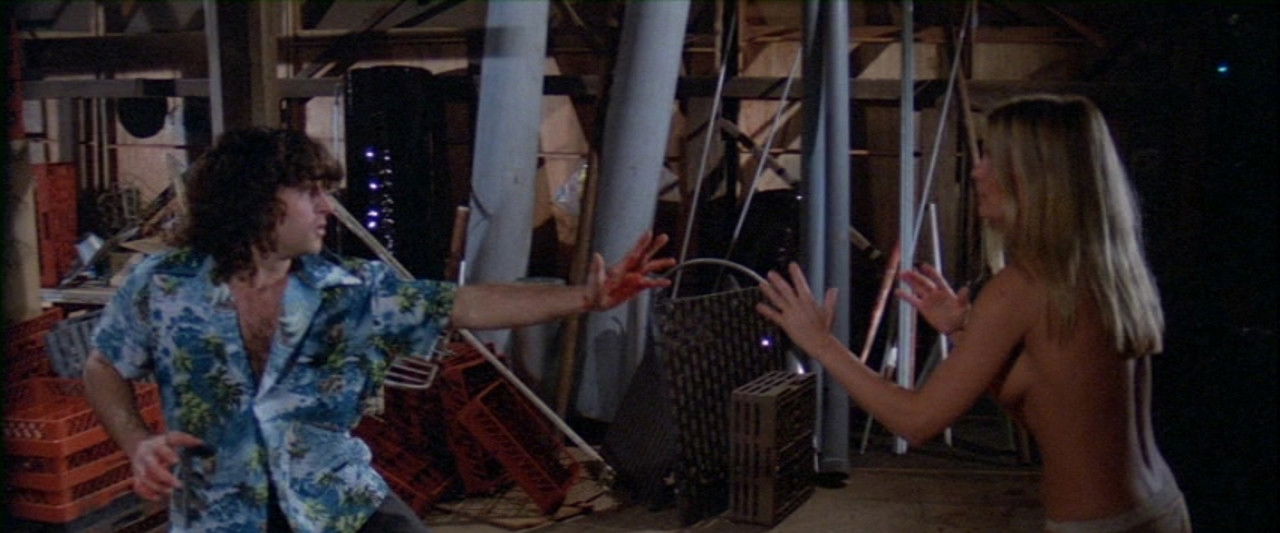 Firecracker backdrop