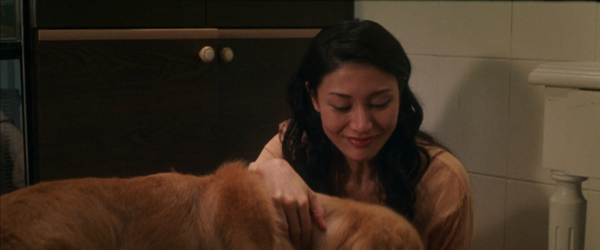 Every Dog Has His Date backdrop