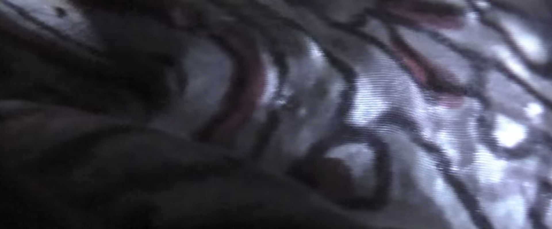 Venice 70: Future Reloaded backdrop