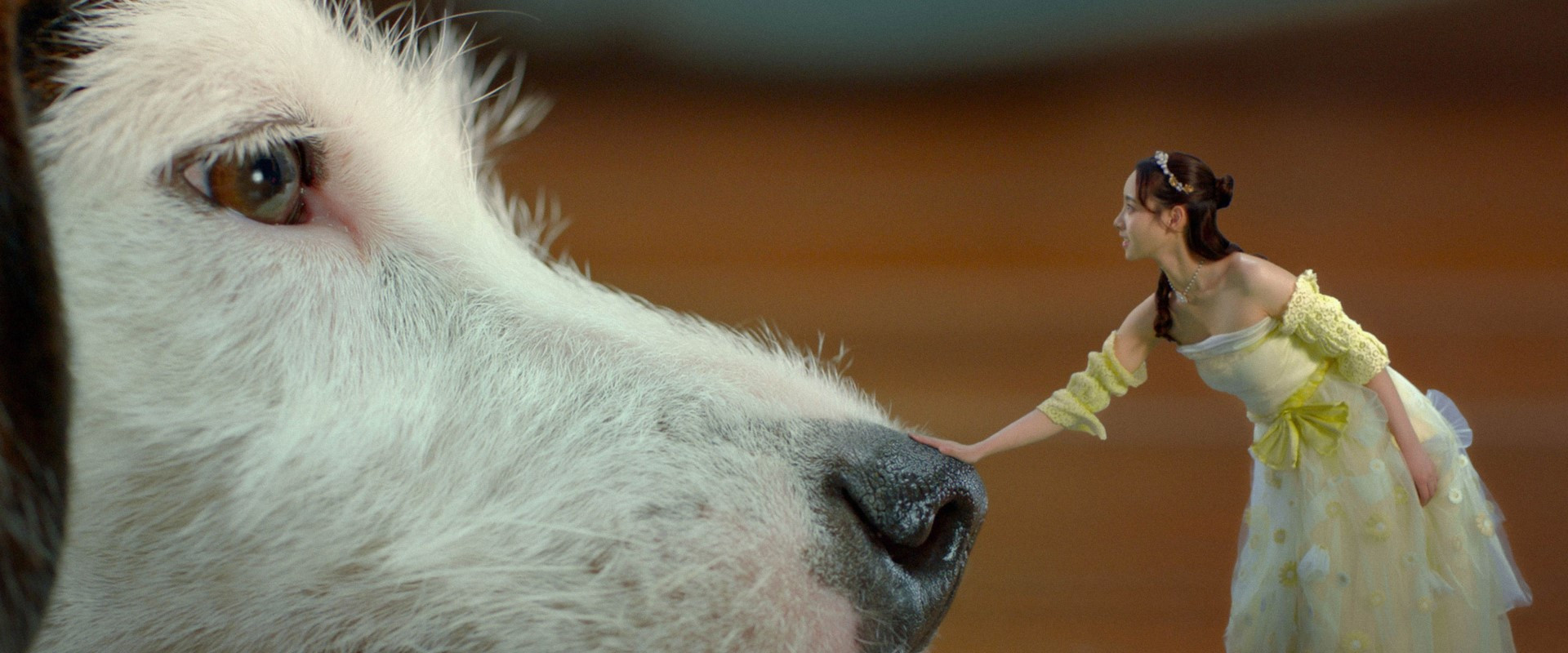 Little Canned Men backdrop