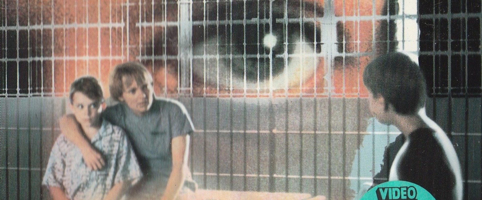 Woman With a Past backdrop