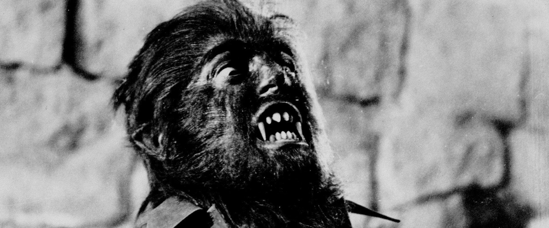 Paul Naschy: la sonrisa del lobo backdrop