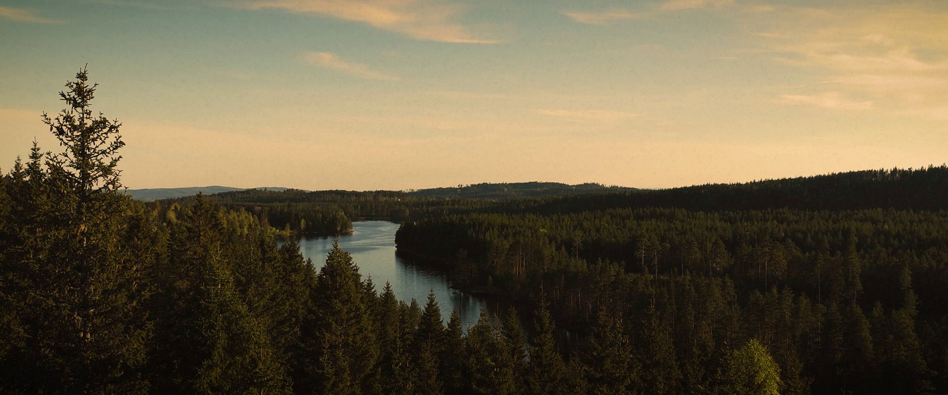 Shroud of Mist backdrop