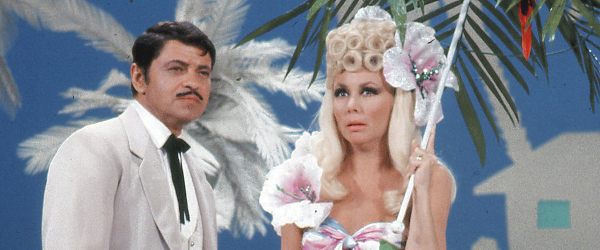 Mitzi's 2nd Special backdrop