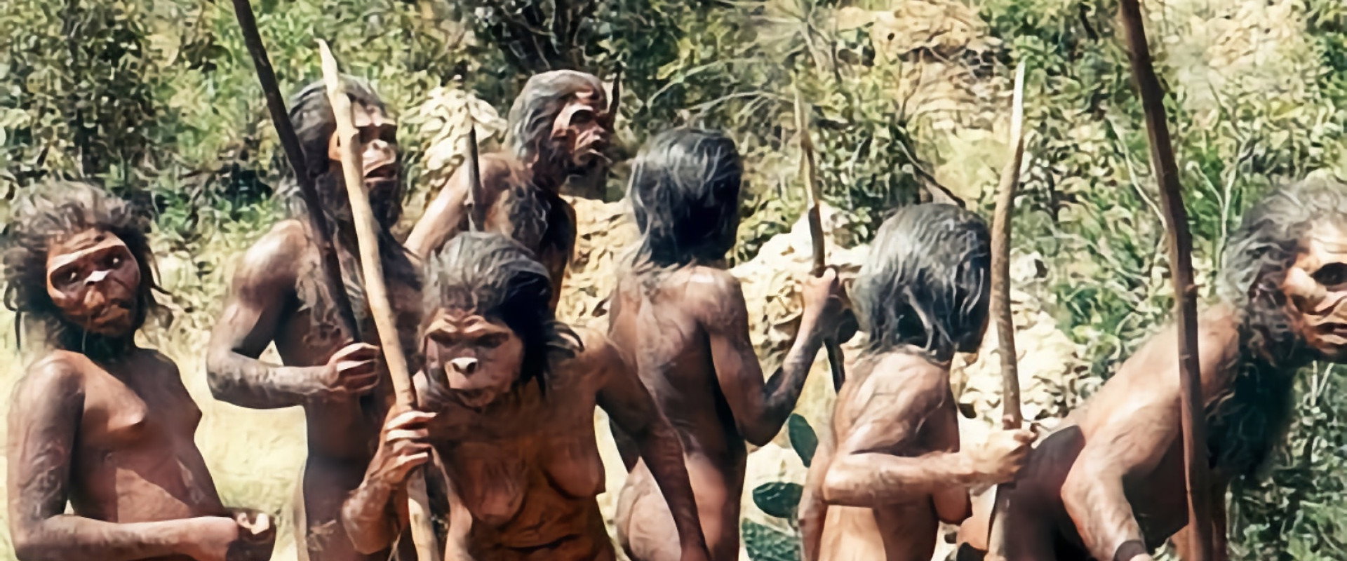 A Species Odyssey backdrop