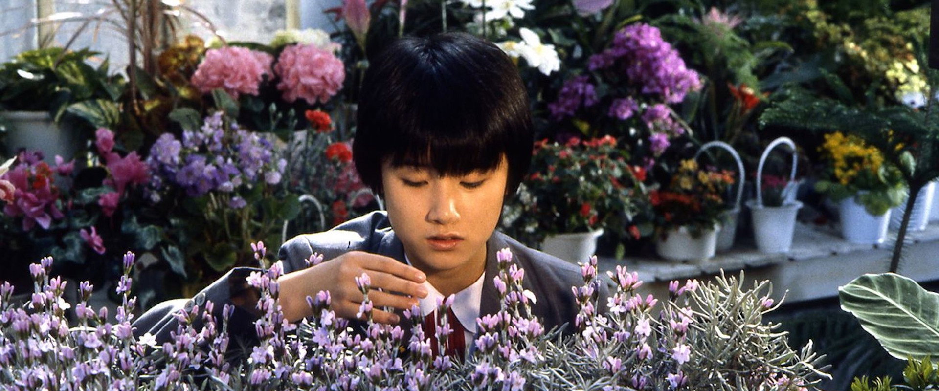 The Girl Who Leapt Through Time backdrop