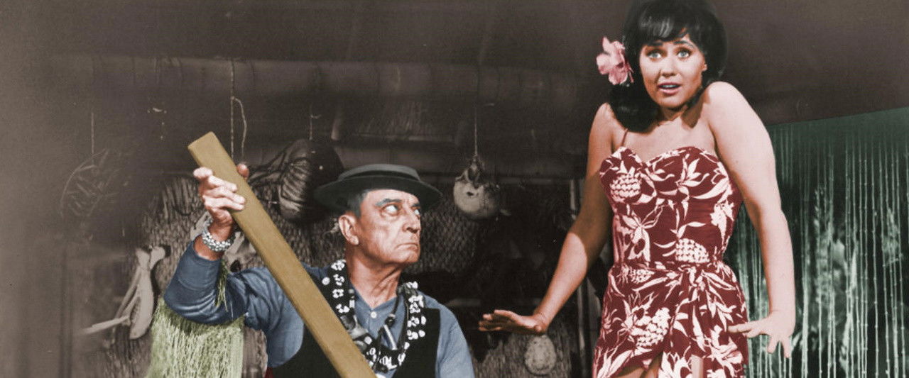 How to Stuff a Wild Bikini backdrop