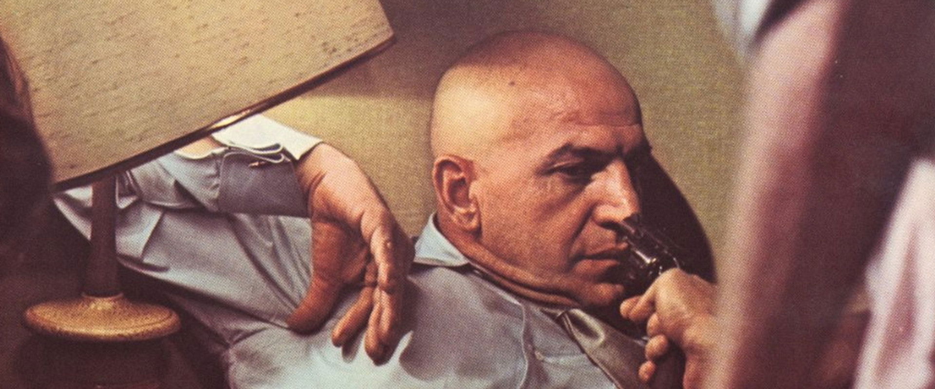 Clay Pigeon backdrop