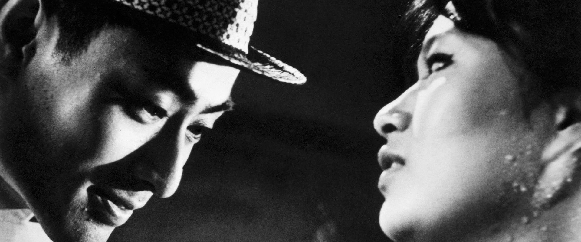 The Sun's Burial backdrop