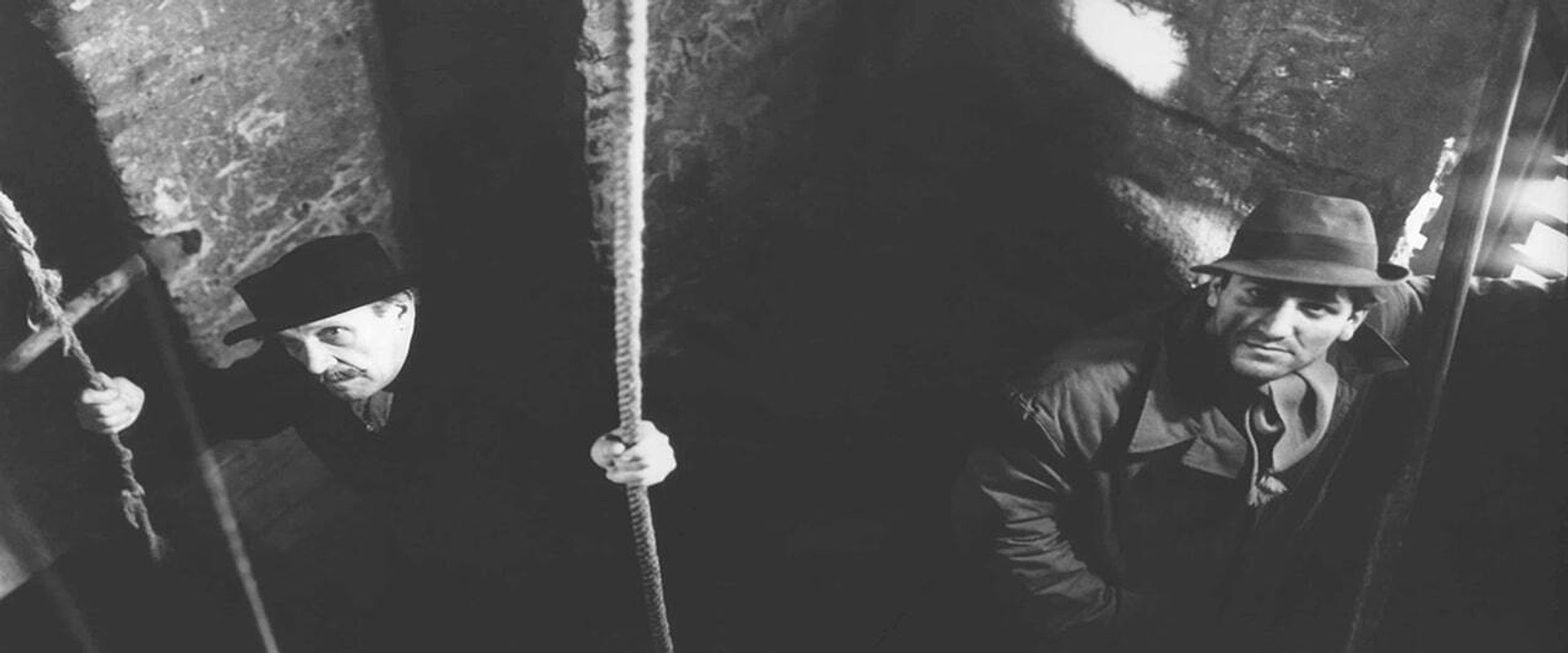 Double Circle backdrop