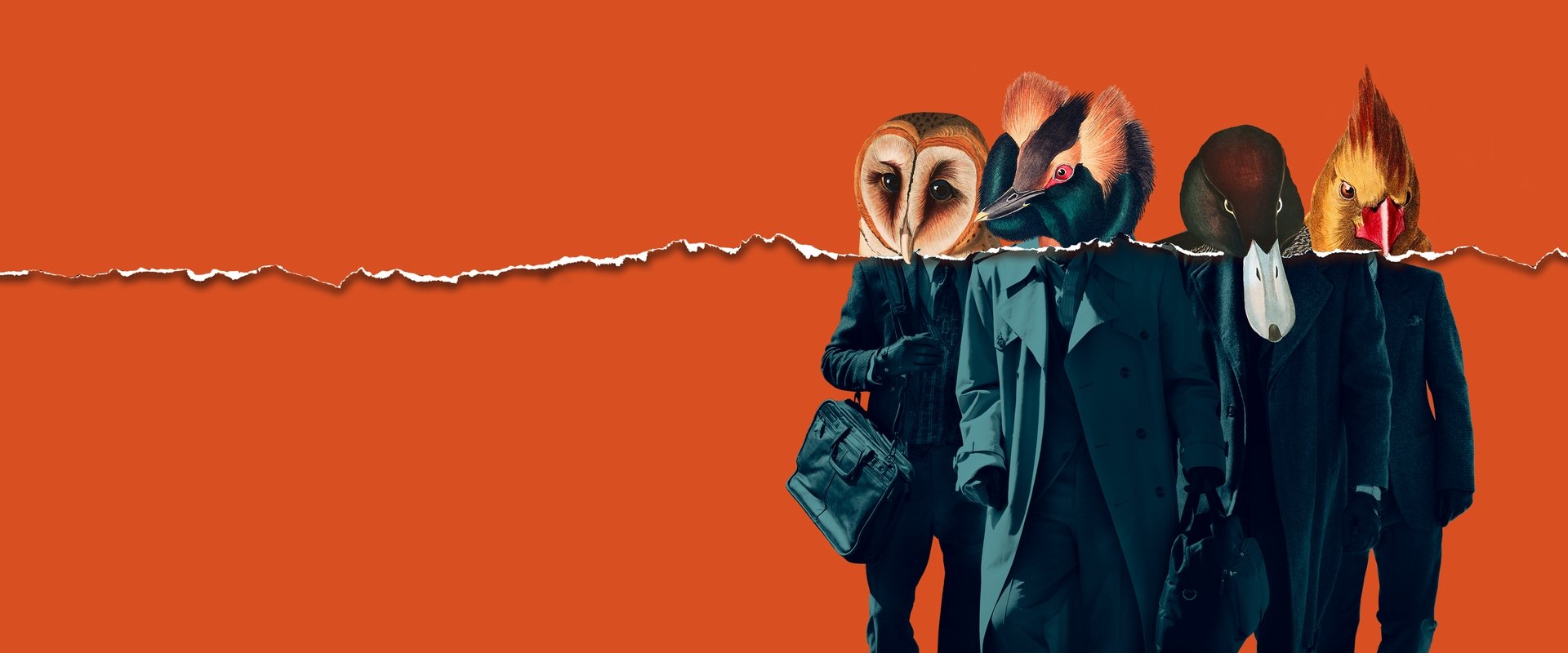 American Animals backdrop