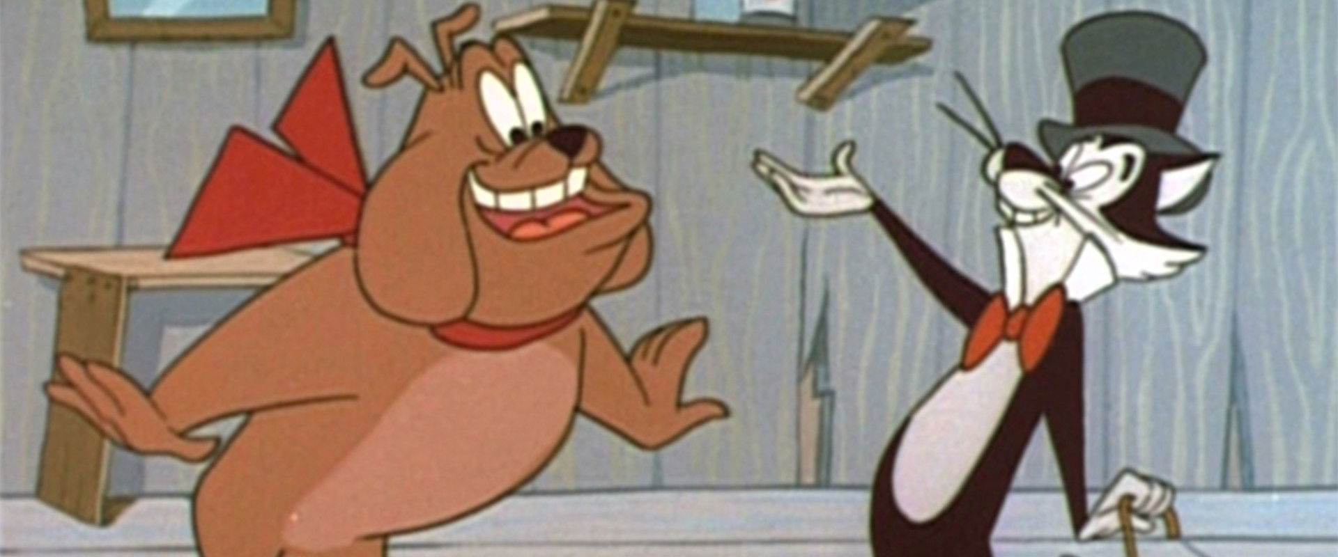 Pest of  Show backdrop