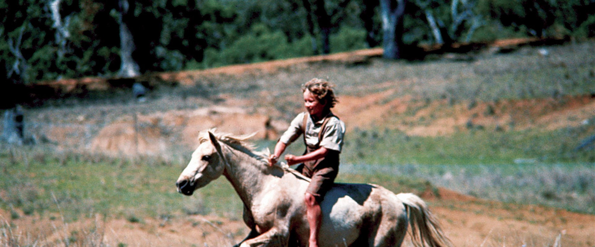 Ride a Wild Pony backdrop