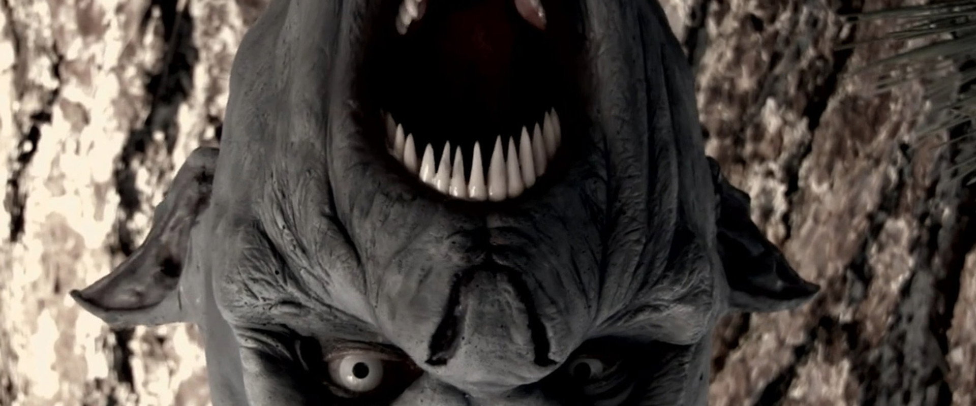 The Black Water Vampire backdrop