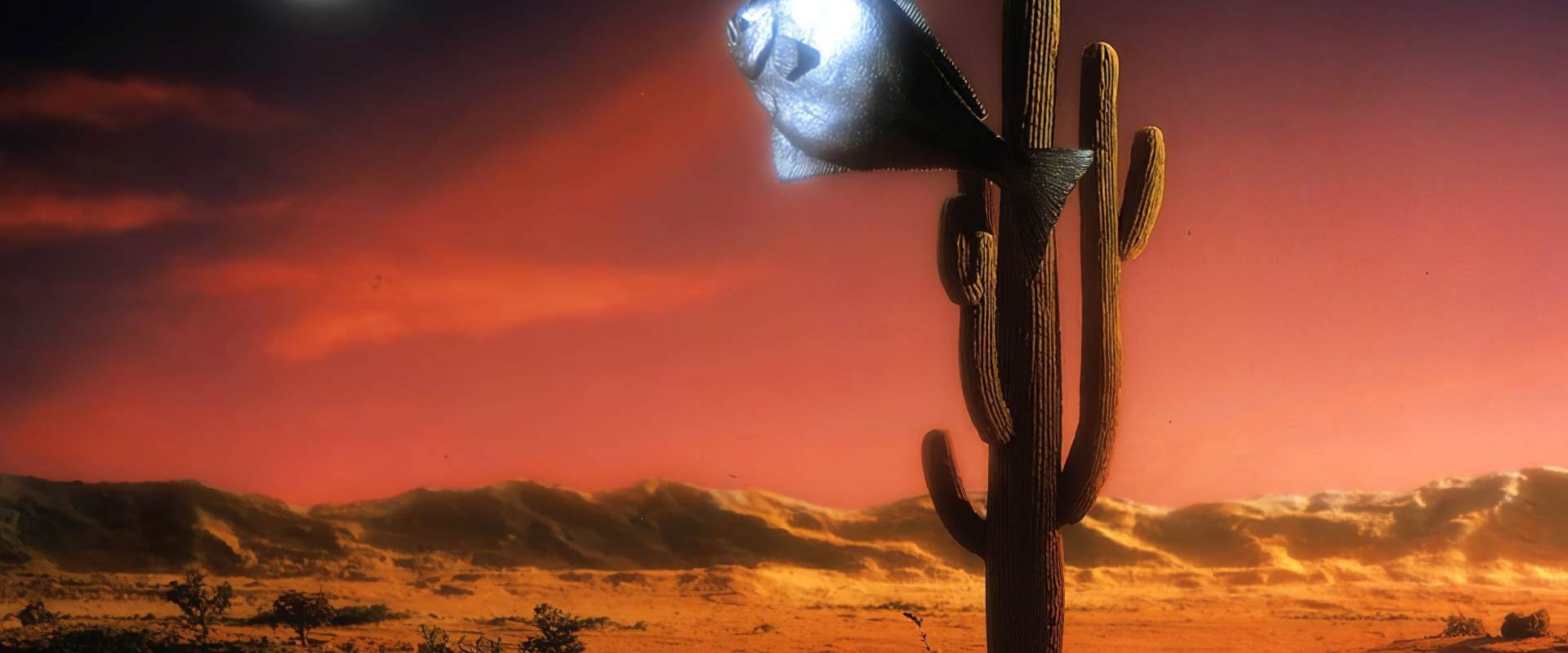 Arizona Dream