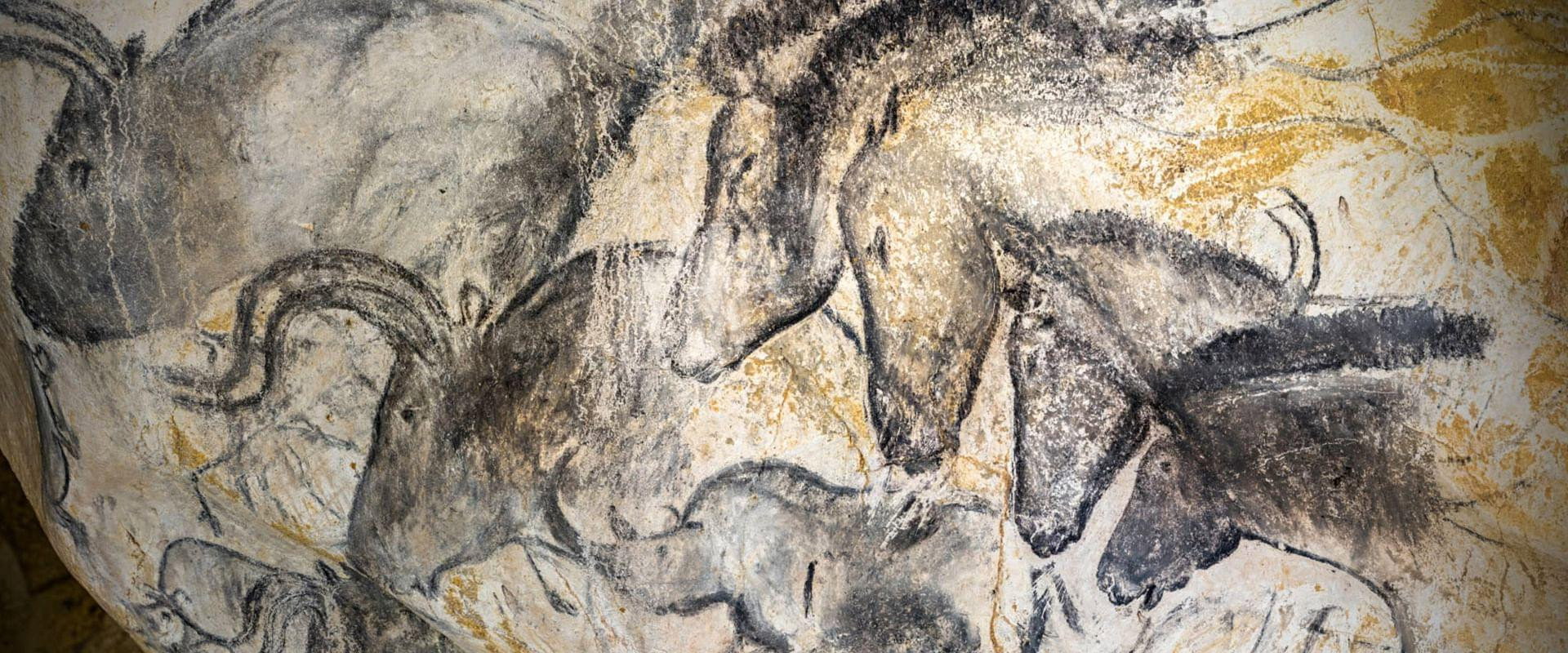 Grotte Chauvet - Dans les pas des artistes de la Préhistoire backdrop