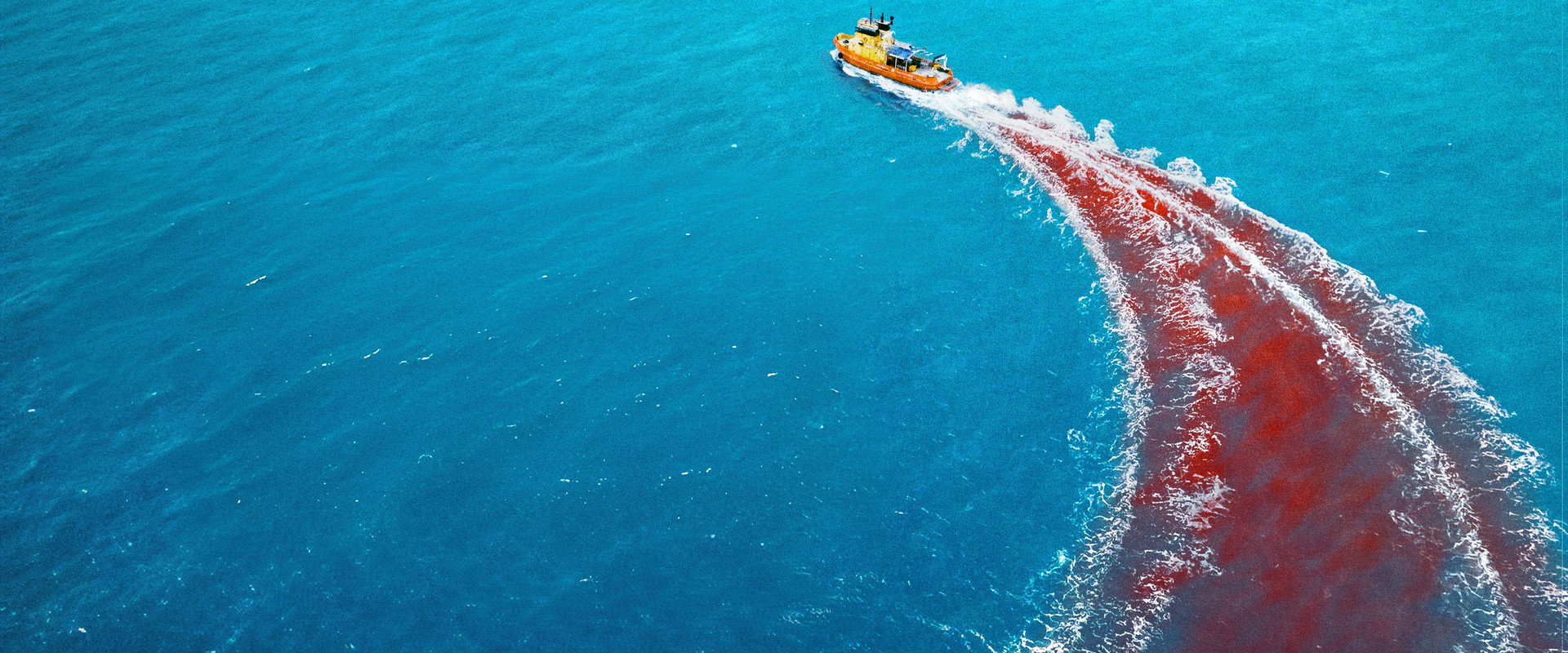 Dangerous Animals backdrop