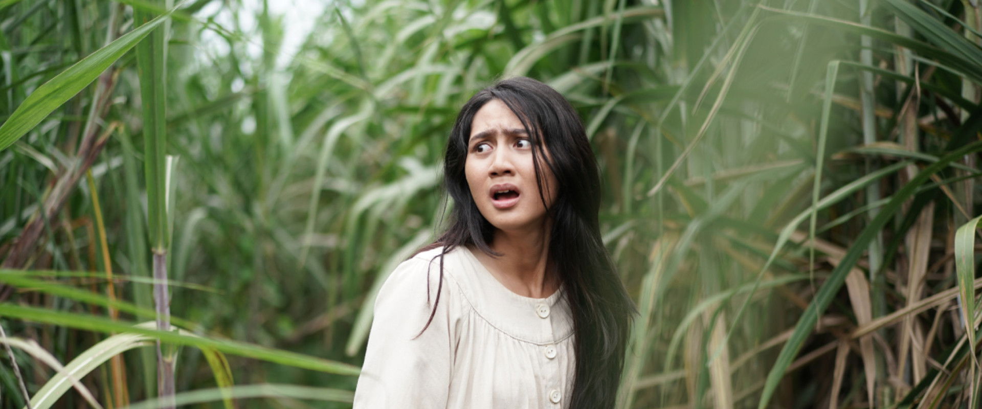 Janur Ireng backdrop