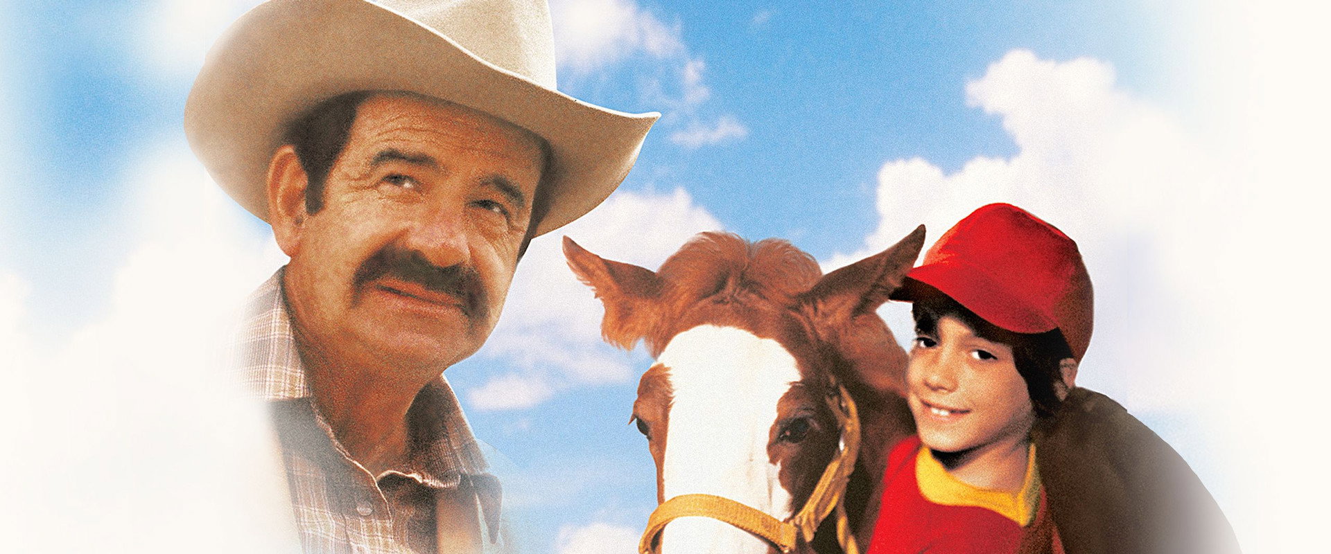 Casey's Shadow backdrop