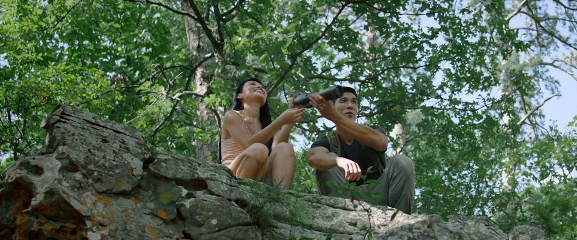 Dinosaur World backdrop