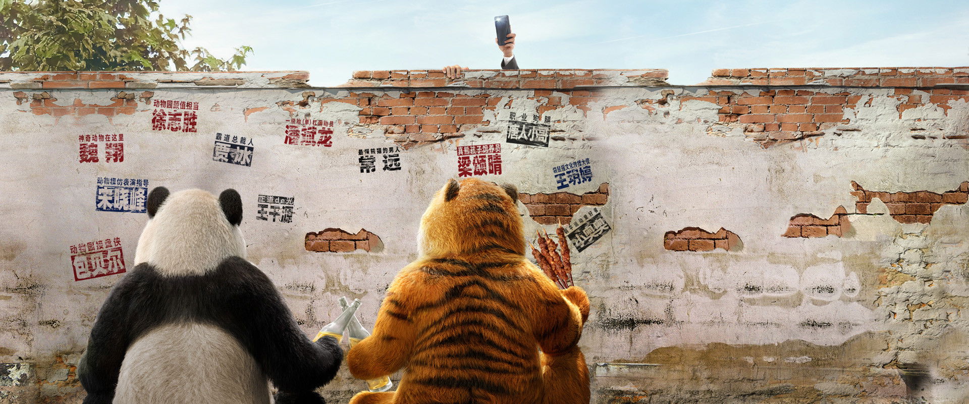 Follow Bear to Adventure backdrop