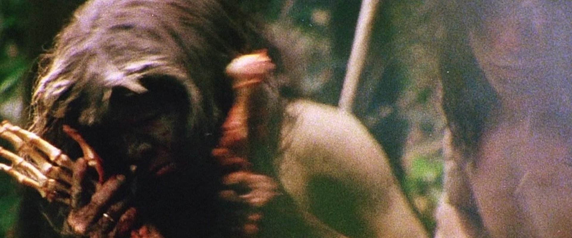 Cannibal Holocaust backdrop