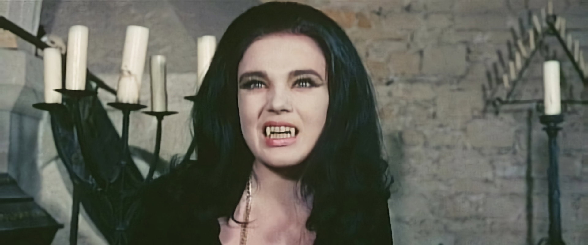 The Vampire Happening backdrop